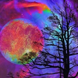 Meet your Posher, Mj